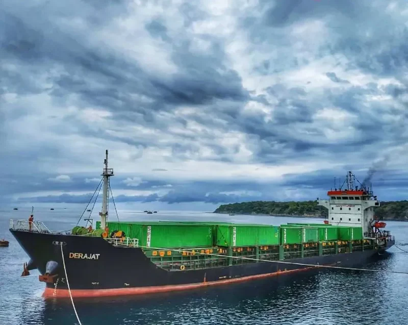 DERAJAT Container Ship IMO 9499773 photo 2