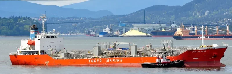 ASIAN LILAC Tanker IMO 9499943 photo 5
