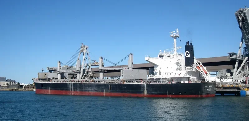 BULK ORION Bulk Carrier IMO 9500039