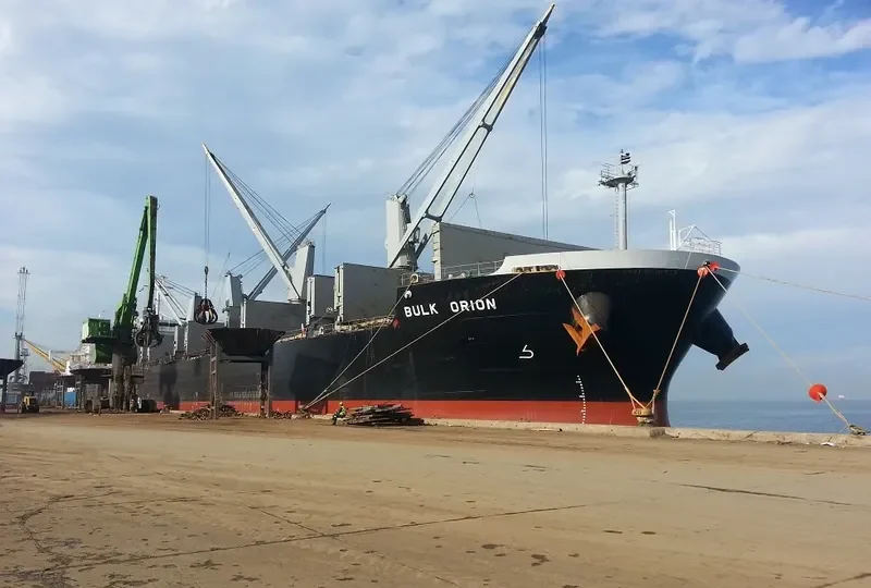BULK ORION Bulk Carrier IMO 9500039 photo 7