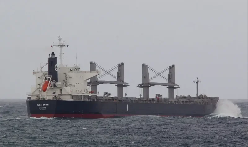 BULK ORION Bulk Carrier IMO 9500039 photo 9