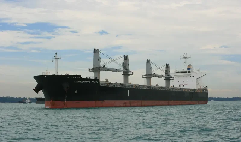 CENTENARIO FORZA Bulk Carrier IMO 9500041