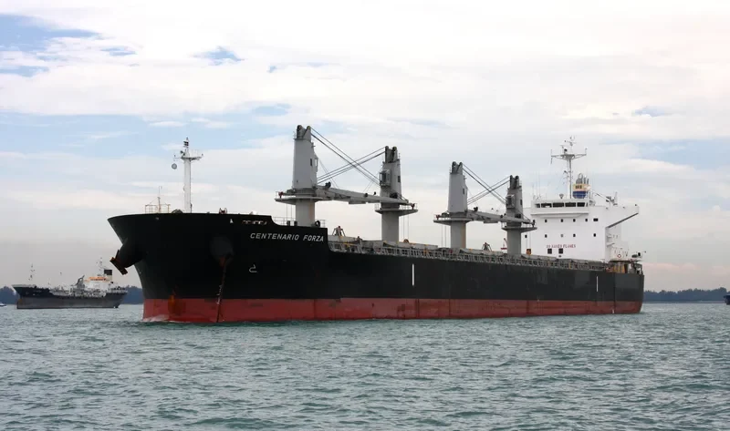 CENTENARIO FORZA Bulk Carrier IMO 9500041 photo 3