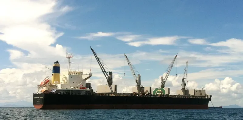 CENTENARIO FORZA Bulk Carrier IMO 9500041 photo 5