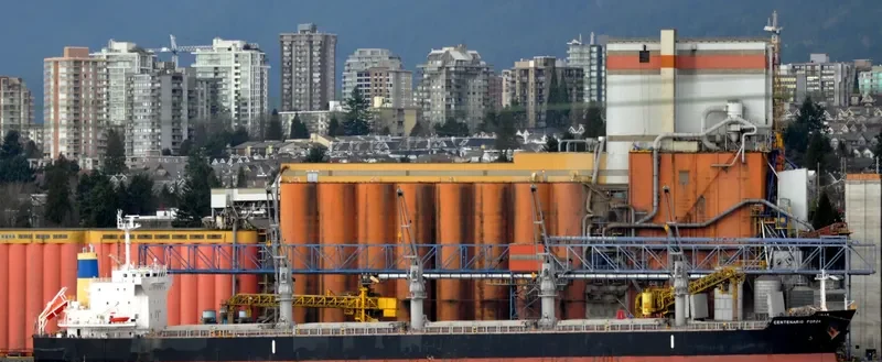 CENTENARIO FORZA Bulk Carrier IMO 9500041 photo 9