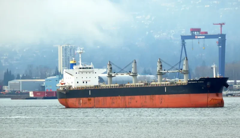 CENTENARIO FORZA Bulk Carrier IMO 9500041 photo 10