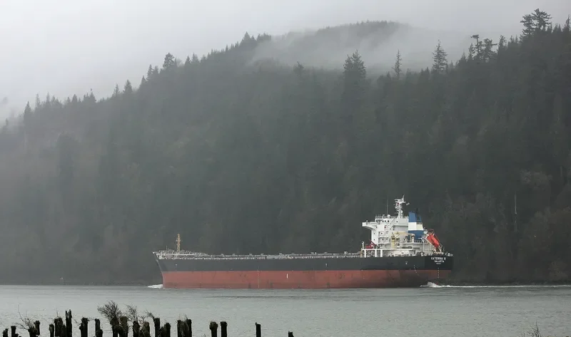 KATERINA III Bulk Carrier IMO 9500273 photo 4