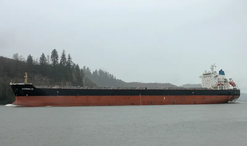 KATERINA III Bulk Carrier IMO 9500273 photo 6