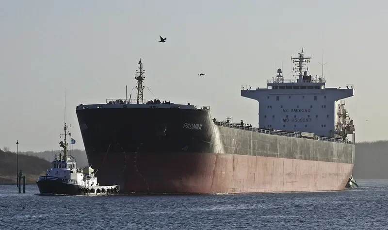 AGIA YPOMONI Bulk Carrier IMO 9500297 photo 4