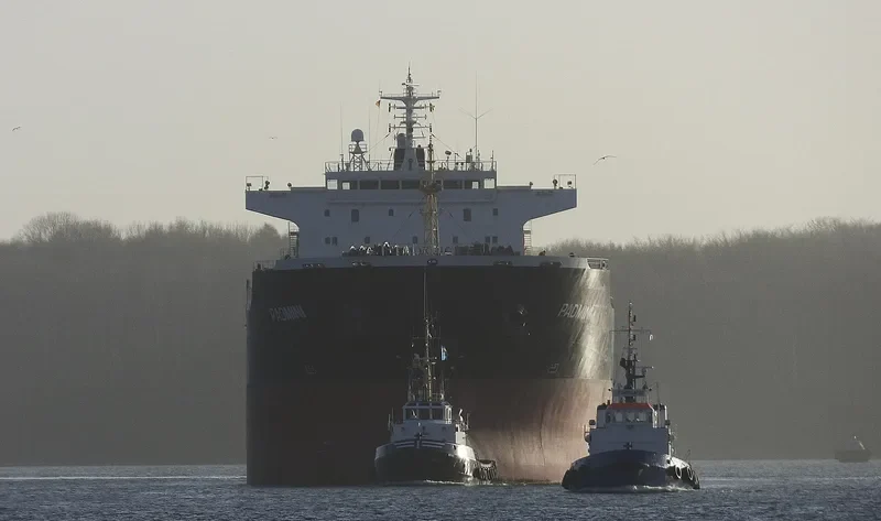 AGIA YPOMONI Bulk Carrier IMO 9500297 photo 5
