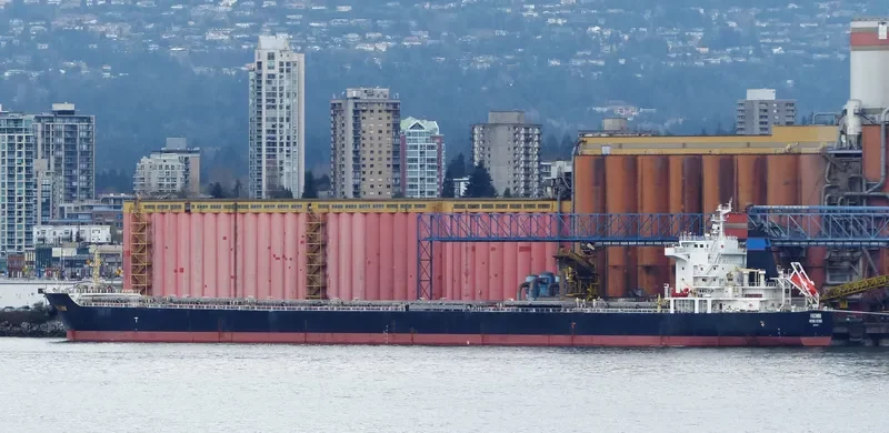 AGIA YPOMONI Bulk Carrier IMO 9500297 photo 9