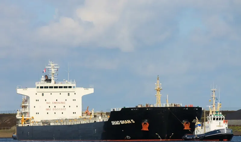 SHAO SHAN 5 Bulk Carrier IMO 9500302 photo 5