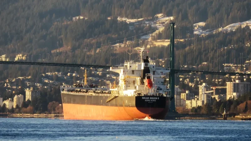 SHAO SHAN 6 Bulk Carrier IMO 9500314