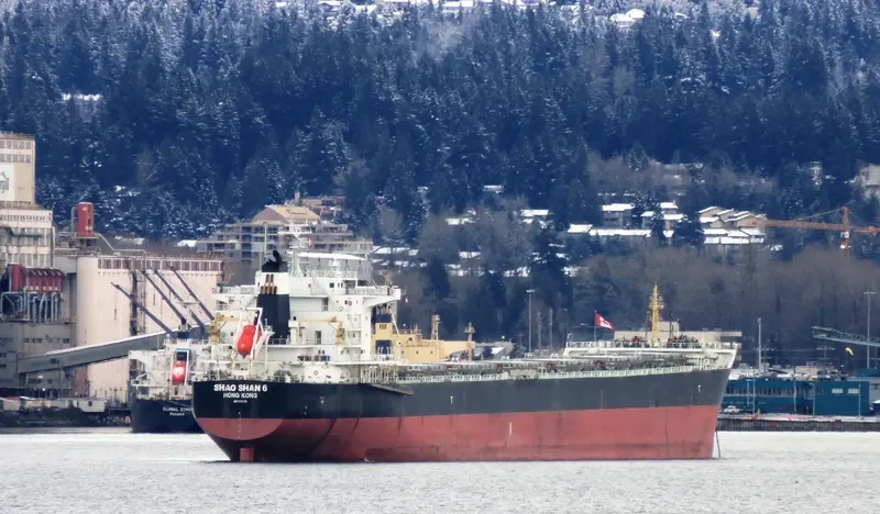 SHAO SHAN 6 Bulk Carrier IMO 9500314 photo 2