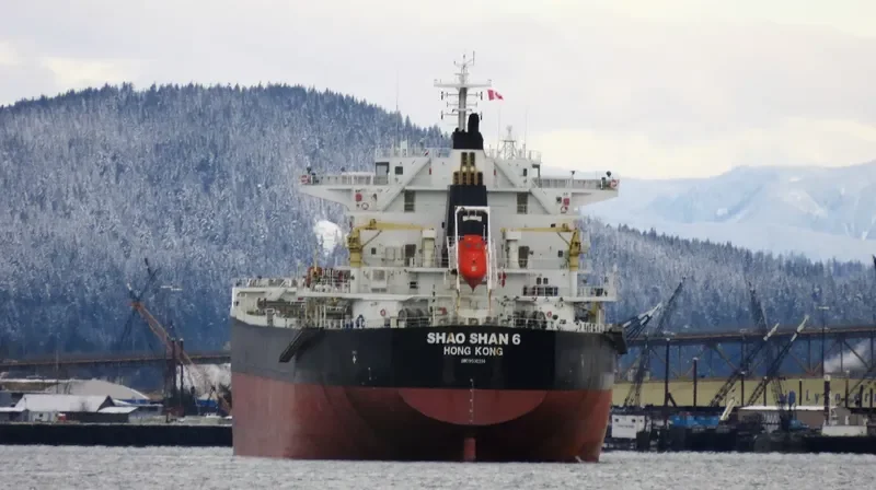 SHAO SHAN 6 Bulk Carrier IMO 9500314 photo 3