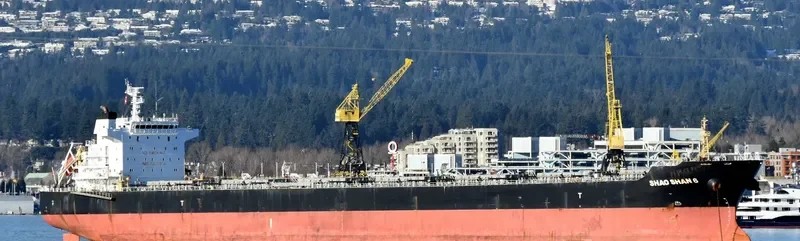 SHAO SHAN 6 Bulk Carrier IMO 9500314 photo 4