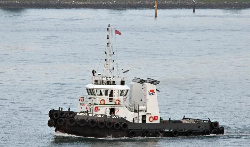 MARINA MERLION 2 General Cargo IMO 9500479 photo 2