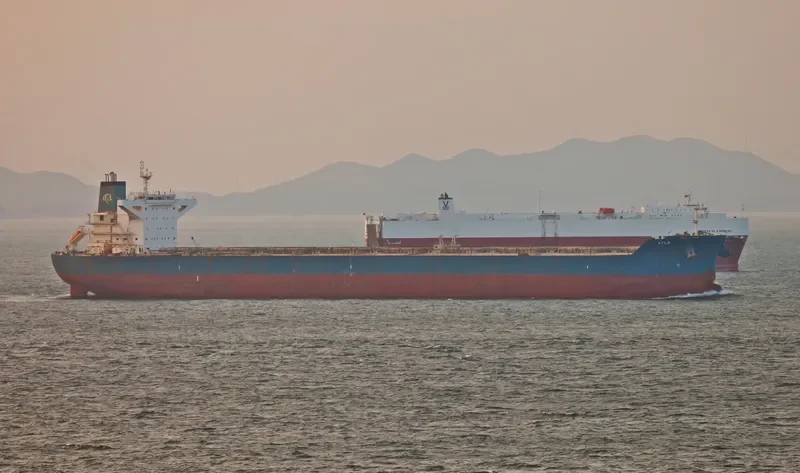 WINNING PEACE Bulk Carrier IMO 9500625 photo 4