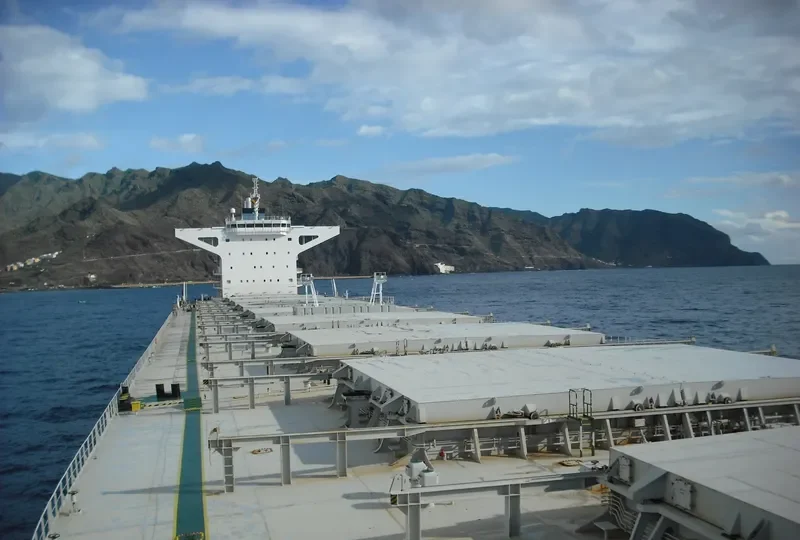 WINNING PEACE Bulk Carrier IMO 9500625 photo 9