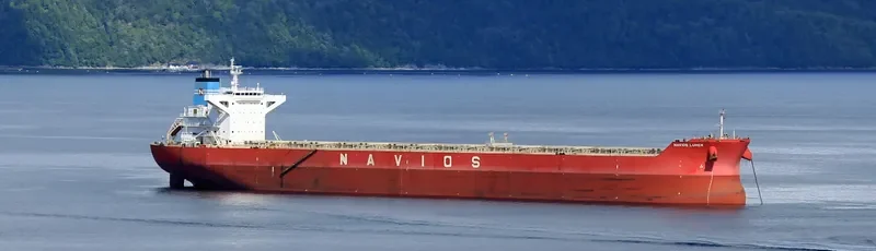 NAVIOS LUMEN Bulk Carrier IMO 9500637 photo 2