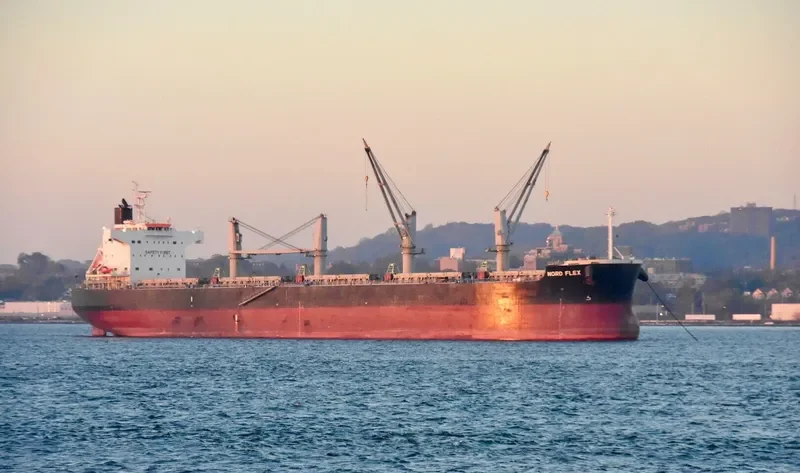 ASL FORTUNE Bulk Carrier IMO 9500687