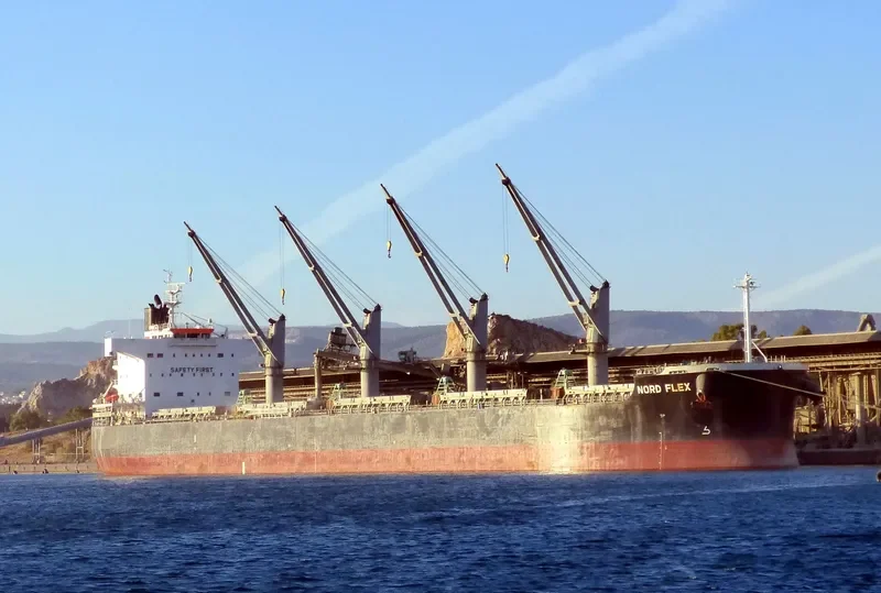 ASL FORTUNE Bulk Carrier IMO 9500687 photo 2
