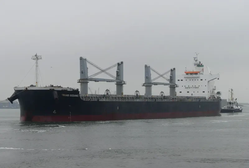 PROPEL FORTUNE Bulk Carrier IMO 9500699 photo 2