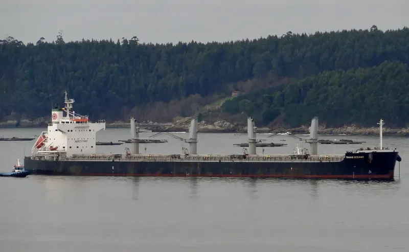 PROPEL FORTUNE Bulk Carrier IMO 9500699 photo 4