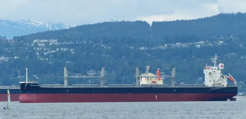 PROPEL FORTUNE Bulk Carrier IMO 9500699 photo 7