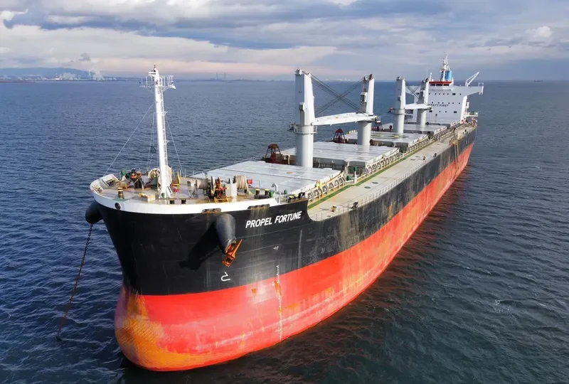 PROPEL FORTUNE Bulk Carrier IMO 9500699 photo 10