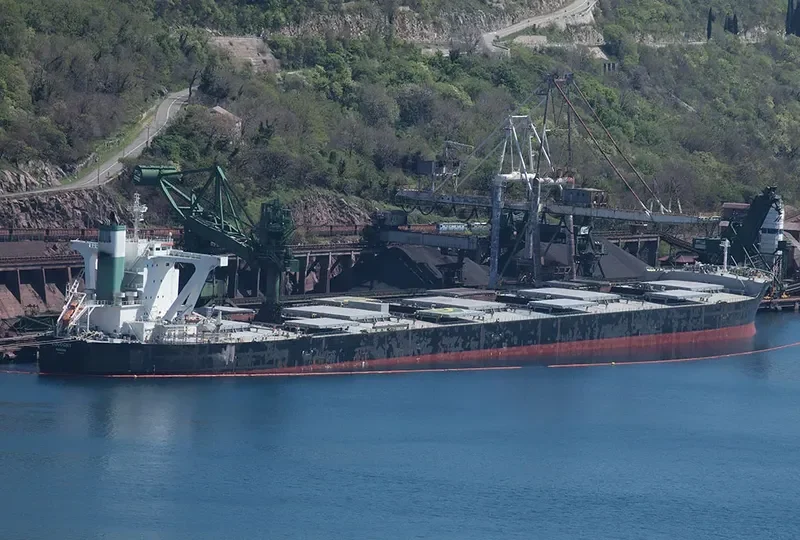 THALASSINI AVRA Bulk Carrier IMO 9500704 photo 3