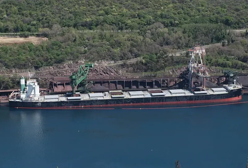 THALASSINI AVRA Bulk Carrier IMO 9500704 photo 4