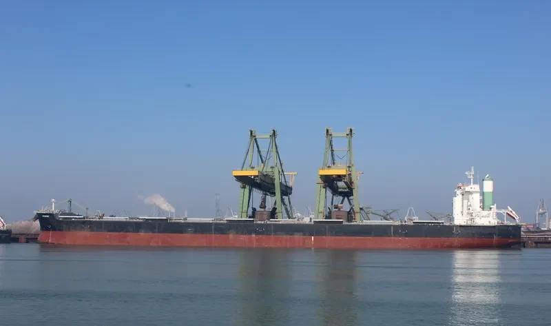 THALASSINI AVRA Bulk Carrier IMO 9500704 photo 5
