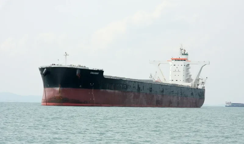 THALASSINI AVRA Bulk Carrier IMO 9500704 photo 6