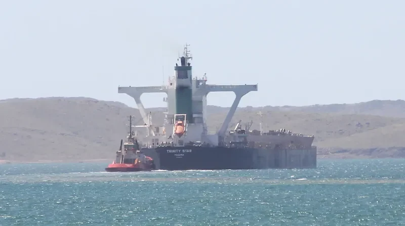 THALASSINI AVRA Bulk Carrier IMO 9500704 photo 8