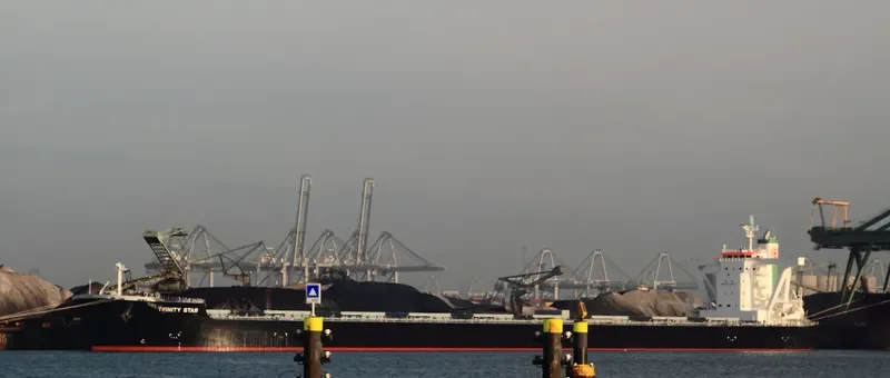 THALASSINI AVRA Bulk Carrier IMO 9500704 photo 9