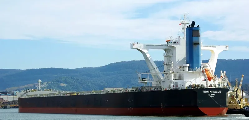 IRON MIRACLE Bulk Carrier IMO 9500742 photo 3