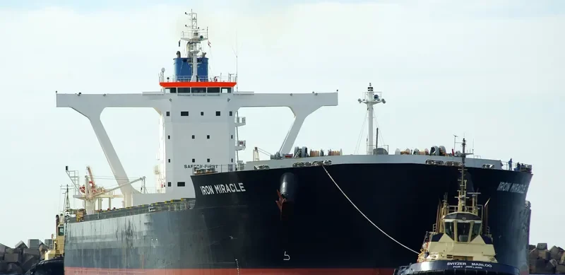 IRON MIRACLE Bulk Carrier IMO 9500742 photo 5
