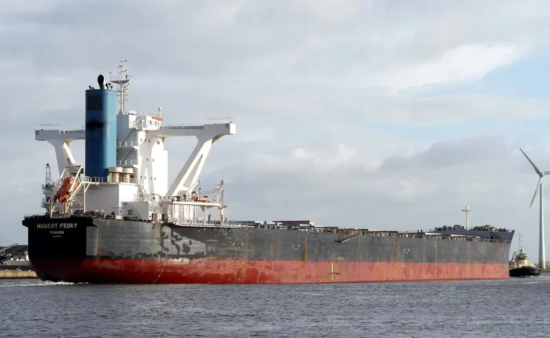 CAPE PEREGRINE Bulk Carrier IMO 9500754
