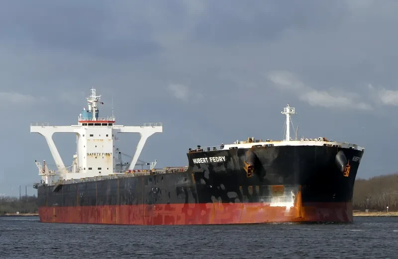 CAPE PEREGRINE Bulk Carrier IMO 9500754 photo 2