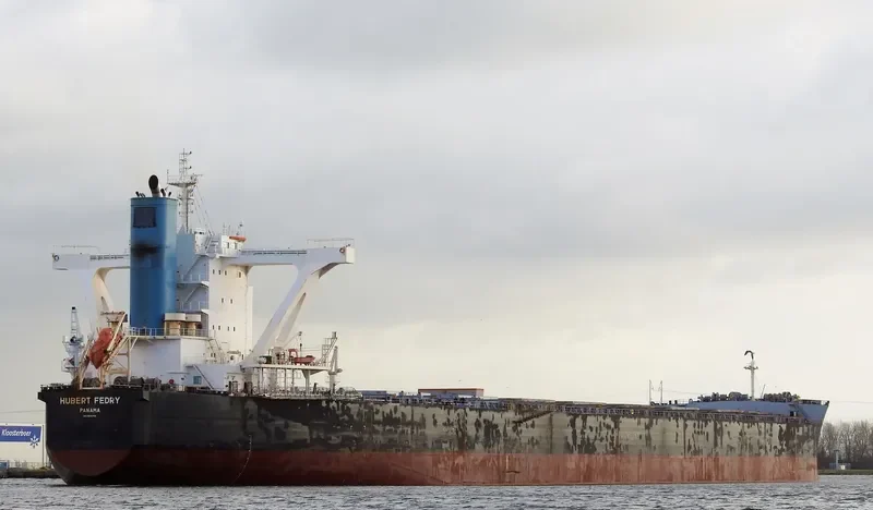 CAPE PEREGRINE Bulk Carrier IMO 9500754 photo 6