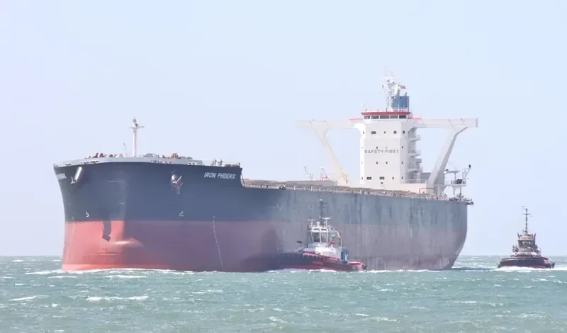 IRON PHOENIX Bulk Carrier IMO 9500766 photo 3