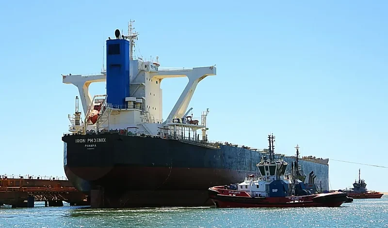 IRON PHOENIX Bulk Carrier IMO 9500766 photo 5