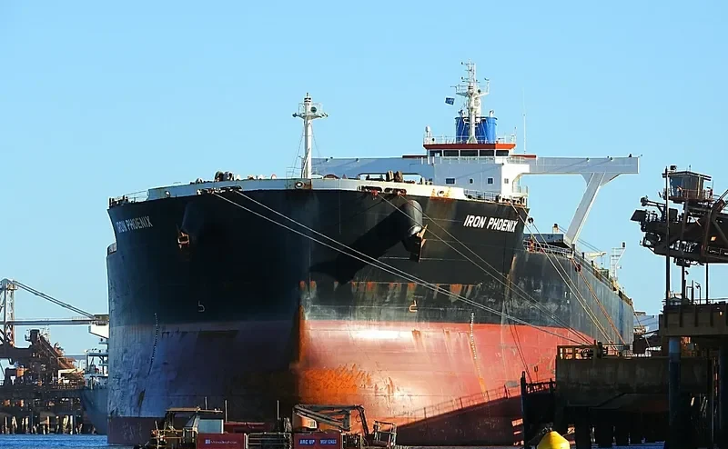 IRON PHOENIX Bulk Carrier IMO 9500766 photo 6