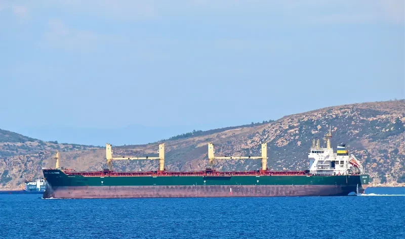 LASCOMBES Bulk Carrier IMO 9500819 photo 8