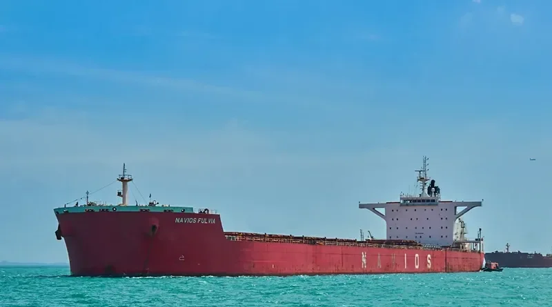 NAVIOS FULVIA Bulk Carrier IMO 9500986 photo 4