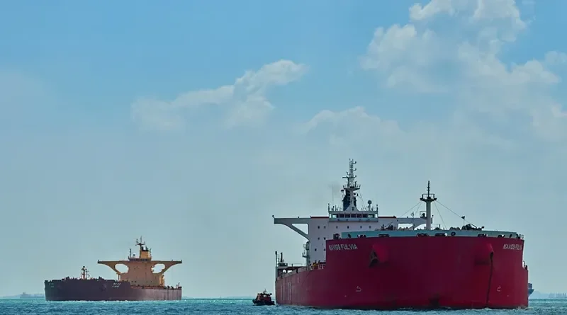 NAVIOS FULVIA Bulk Carrier IMO 9500986 photo 6