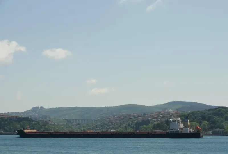 PELOPIDAS Bulk Carrier IMO 9501071 photo 9