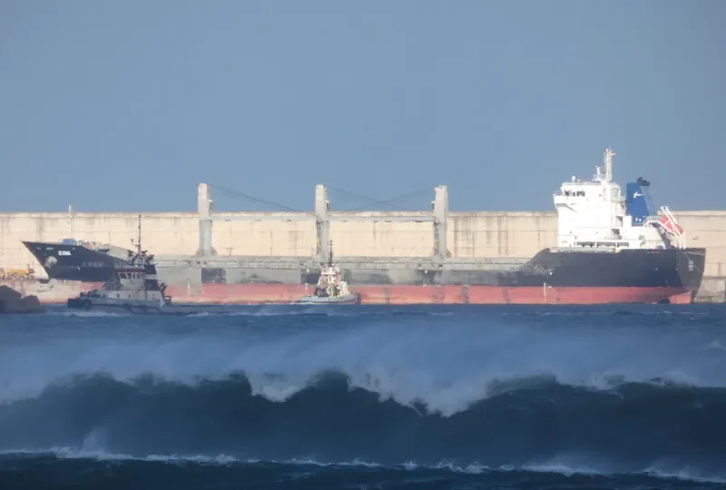 ELENA Bulk Carrier IMO 9501215