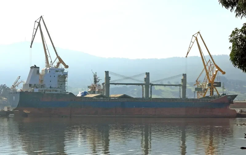 ELENA Bulk Carrier IMO 9501215 photo 2
